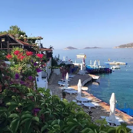 Villa Kalamar House
