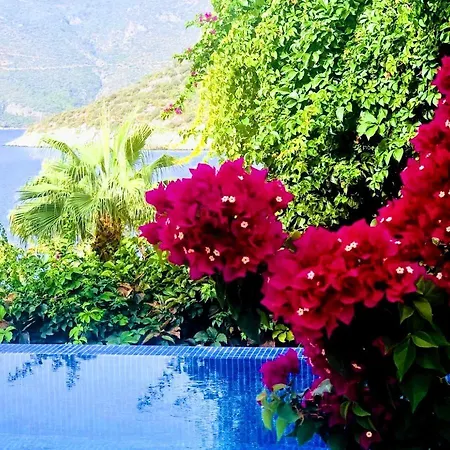 Villa Kalamar House Villa Kalkan
