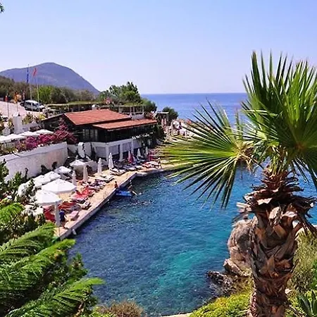 فيلة Villa Kalamar House *